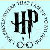 HP Magic Wand SVG, Harry Potter Wand SVG, Wild Wand Harry Potter SVG, Wizard School Svg