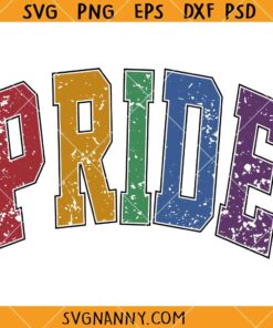 Distressed pride SVG, Grunge Pride SVG, LGBT pride SVG, pride varsity font SVG, guy pride SVG, pride SVG
