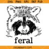 Feral Raccoon SVG, cute but feral SVG, funny raccoon SVG, stay trashy SVG     