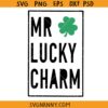 Mr Lucky charm SVG, Boy St. Patrick SVG, St. Patricks Day Svg, St Patrick's Day Shirt SVG